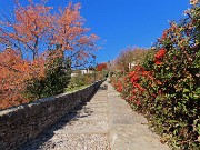 17 Sulla salita dello Scorlazzino esplosione di colori autunnali